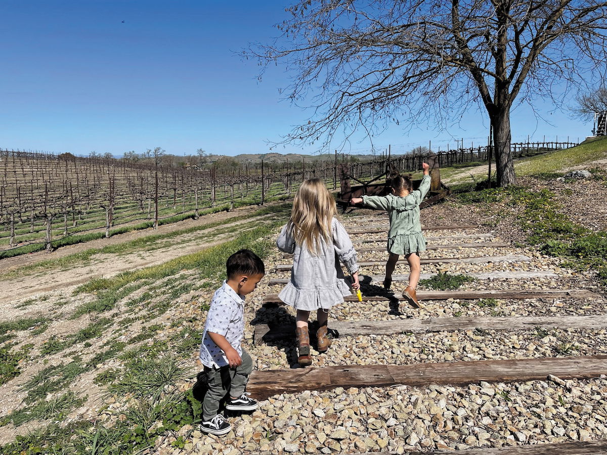 Kid-friendly wine tasting