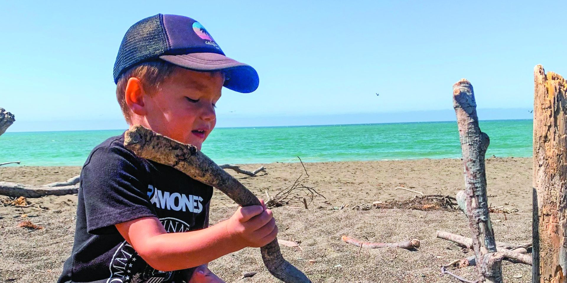 Beat the heat with a day in Cambria