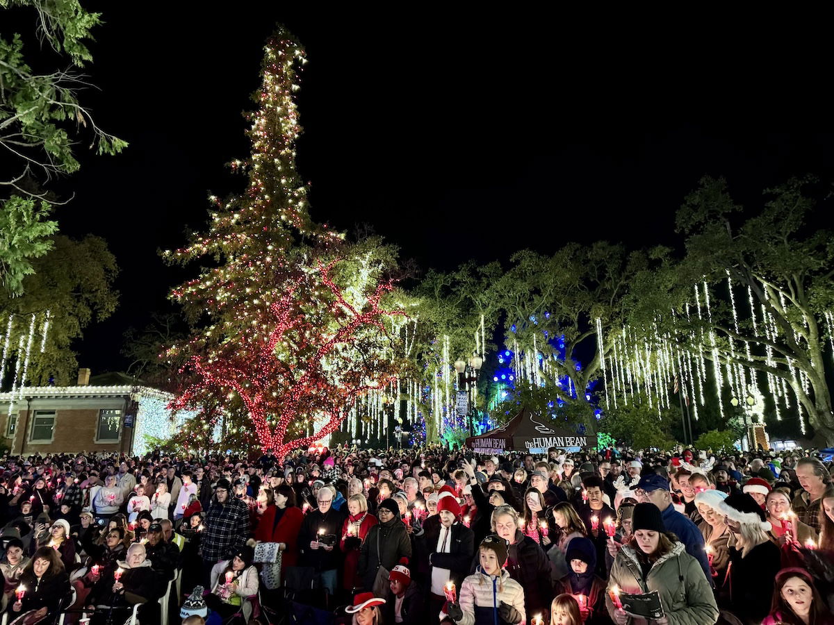 Paso Robles Lights Up the holidays in spectacular downtown display