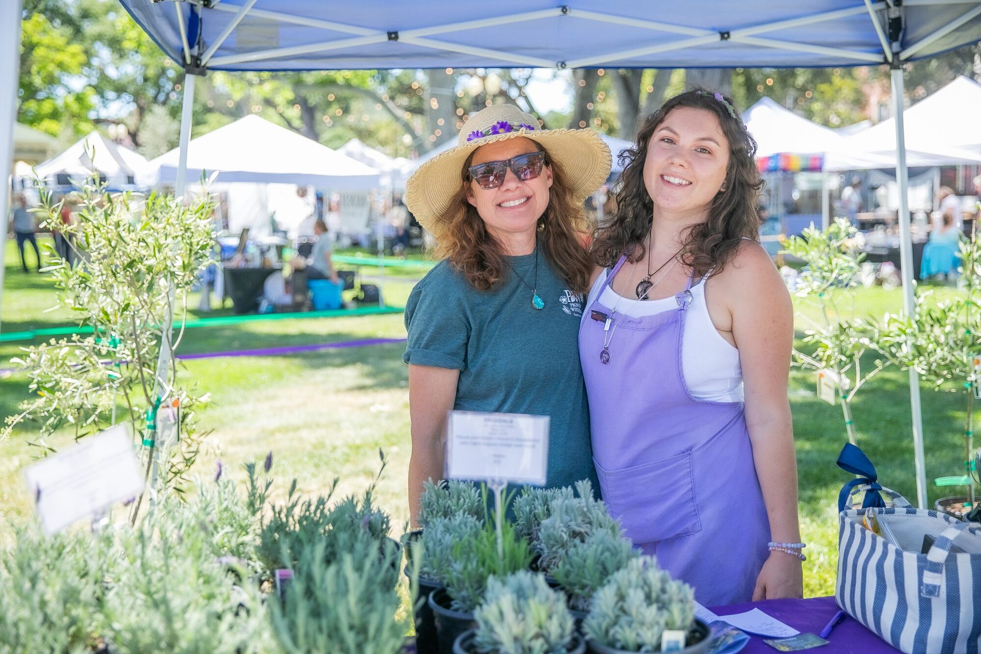 Annual Olive and Lavender Festival draws big crowd and new additions