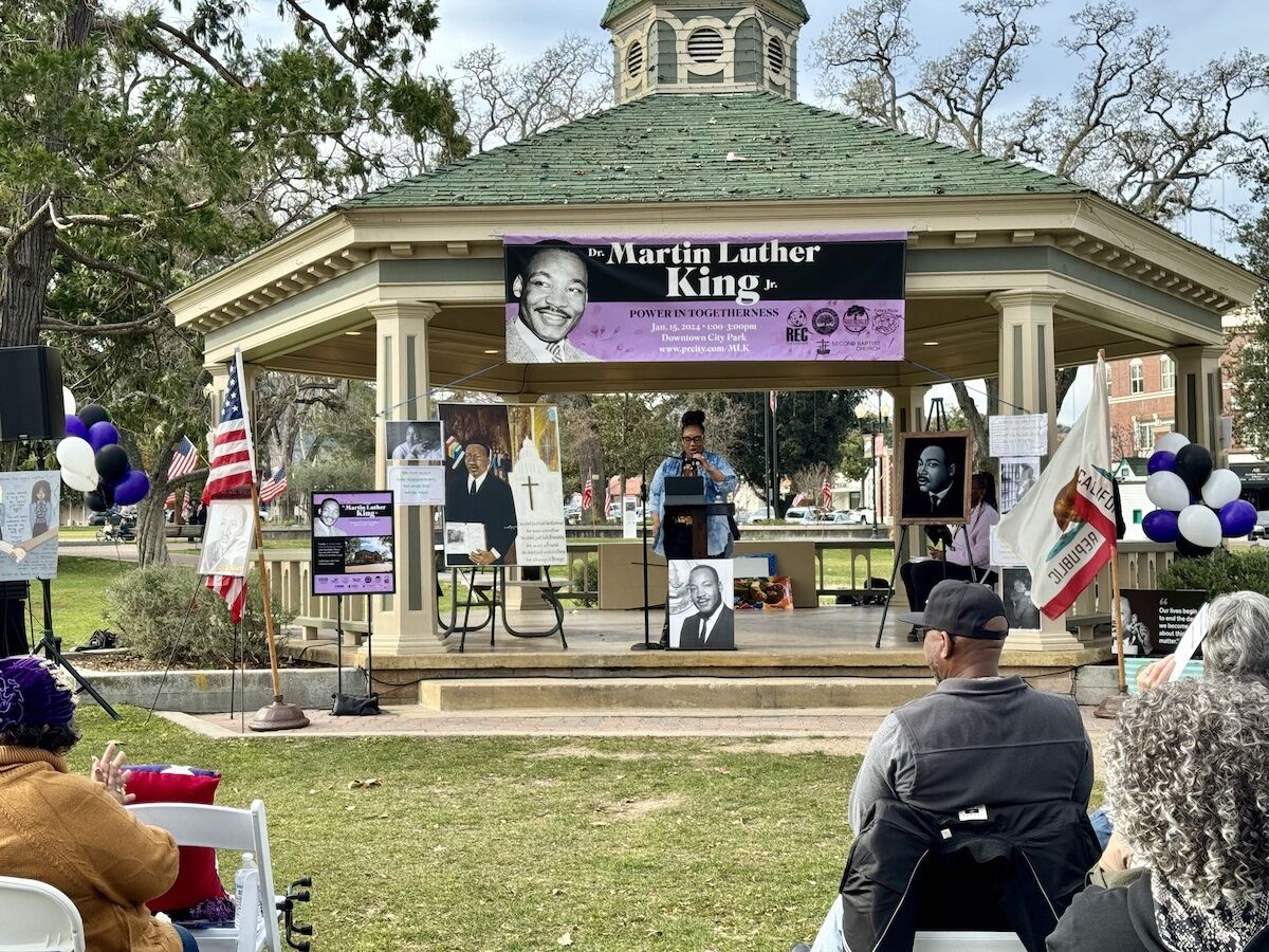 Community marches in unity for 17th annual Martin Luther King Jr. Celebration Day