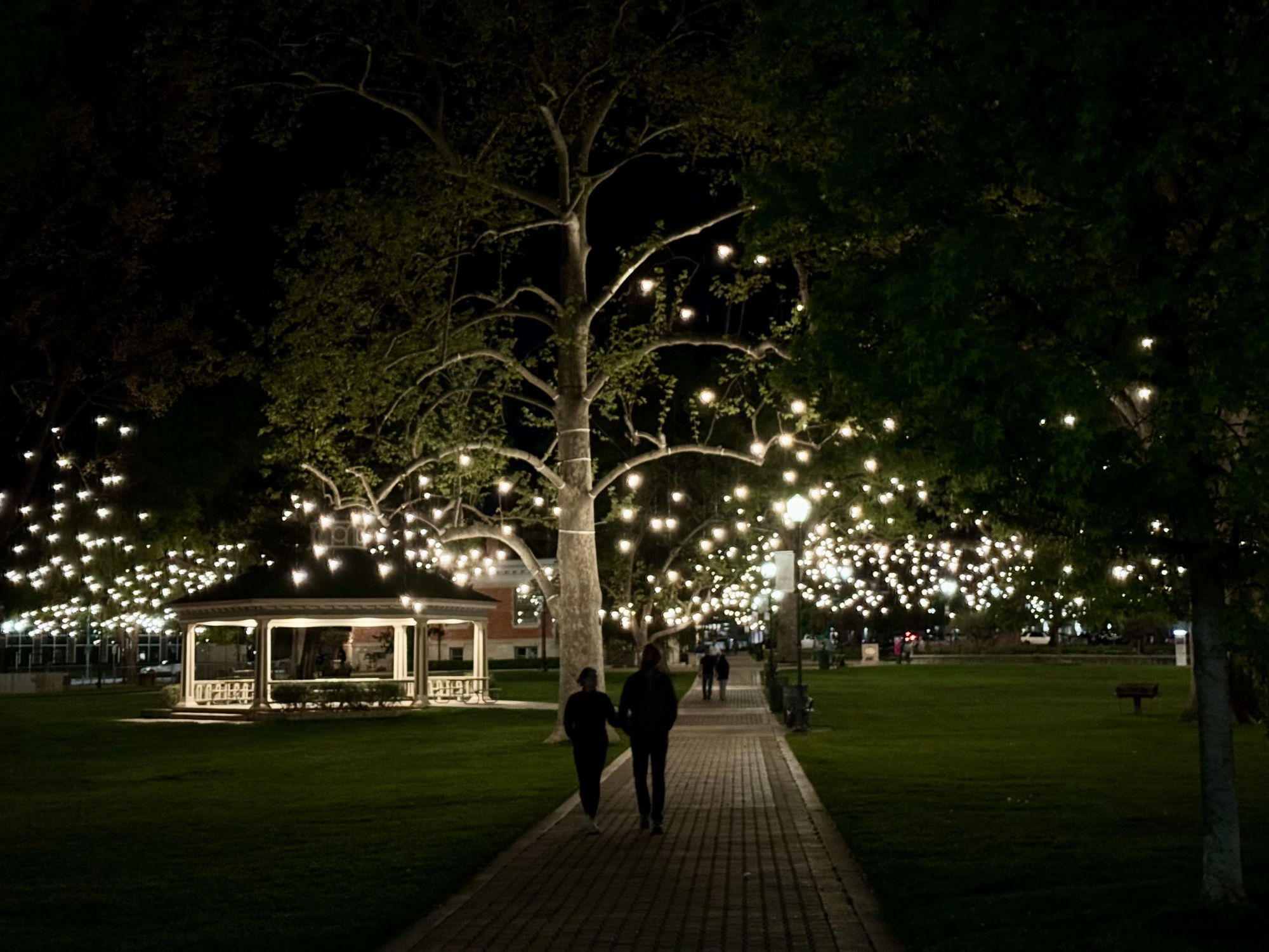 Year-round lights illuminate Downtown City Park