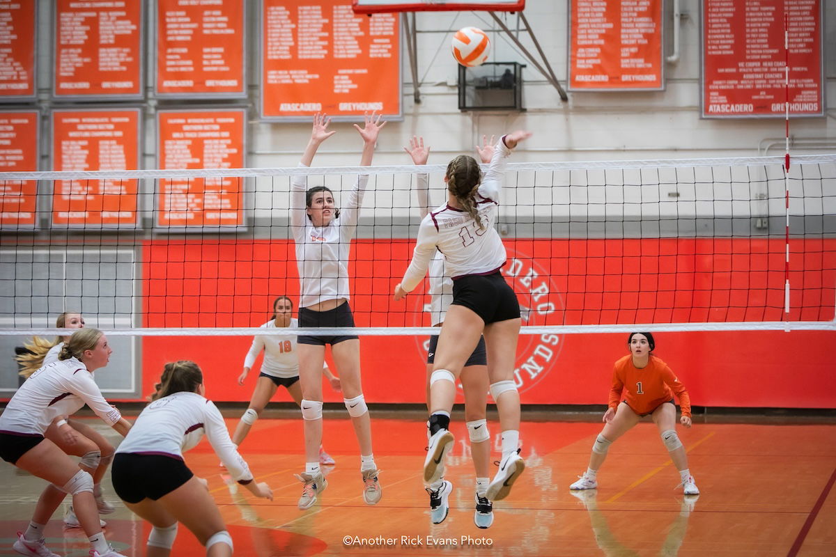 Bearcats dominate Greyhounds in 3-set sweep