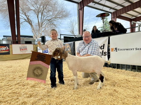 Over 800 exhibitors show at 39th annual Western Bonanza Jr. Livestock Show