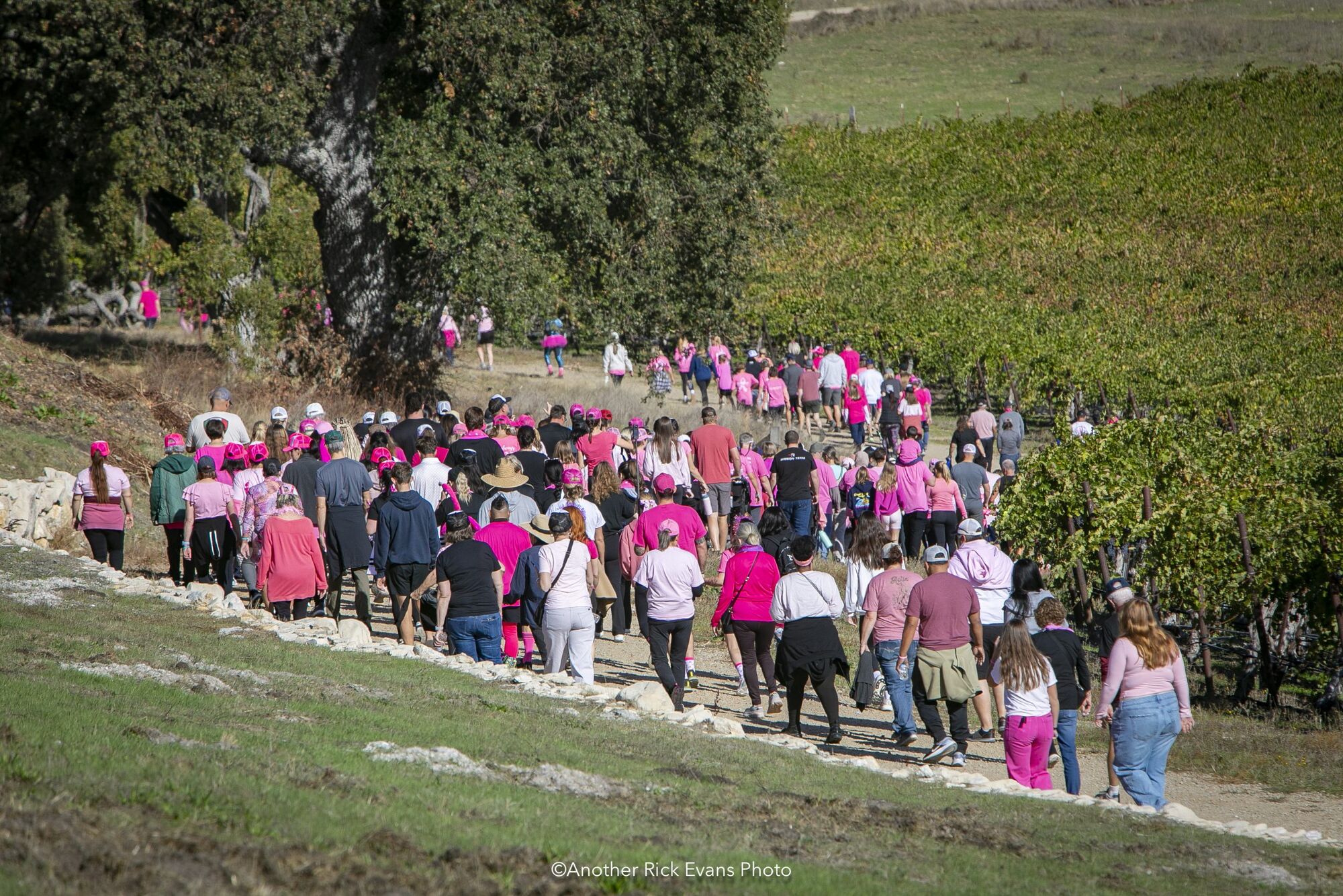 Running (Walking) Our Way Through SLO County