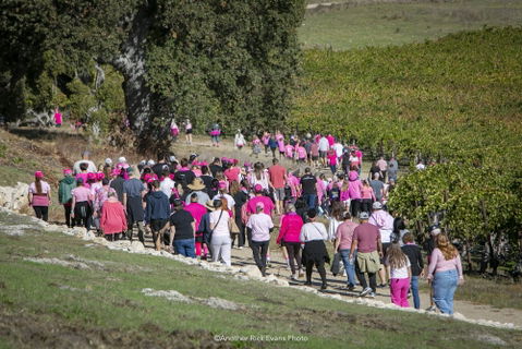 Running (Walking) Our Way Through SLO County
