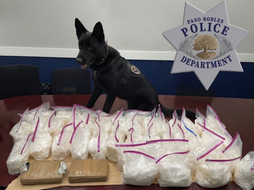 Traffic stop leads to major narcotics Arrest in Paso Robles