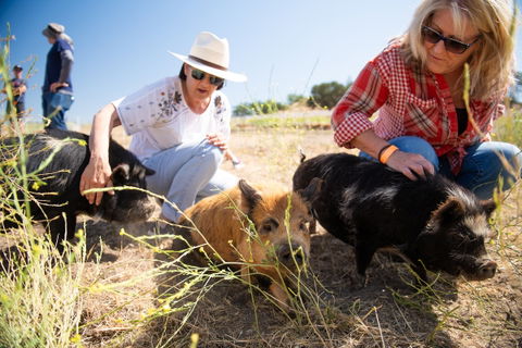 Open Farm Days celebrates local agriculture with record turnout across SLO County