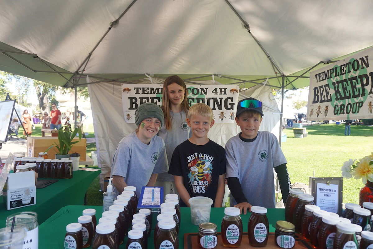 Downtown hums with Honey & Pumpkin Festival