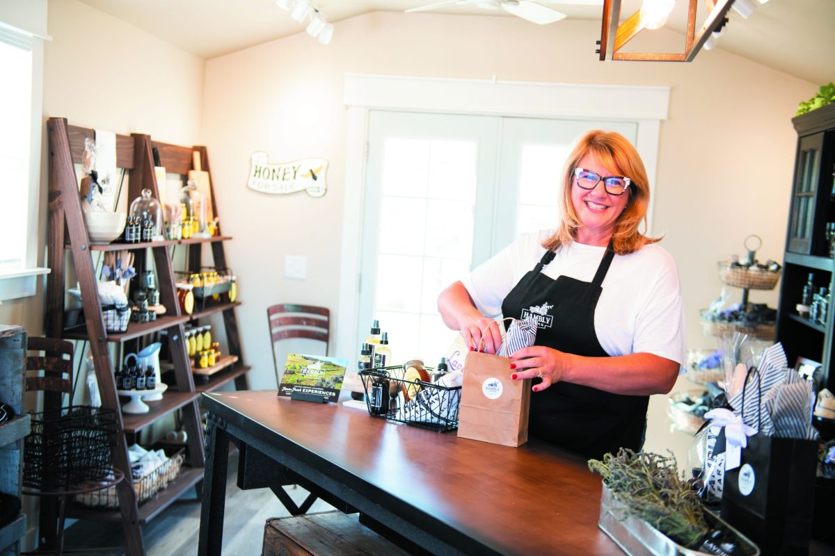 Life in lavender with Gina Hambly