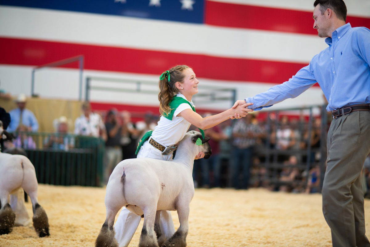 Handbooks now available for CMSF contests