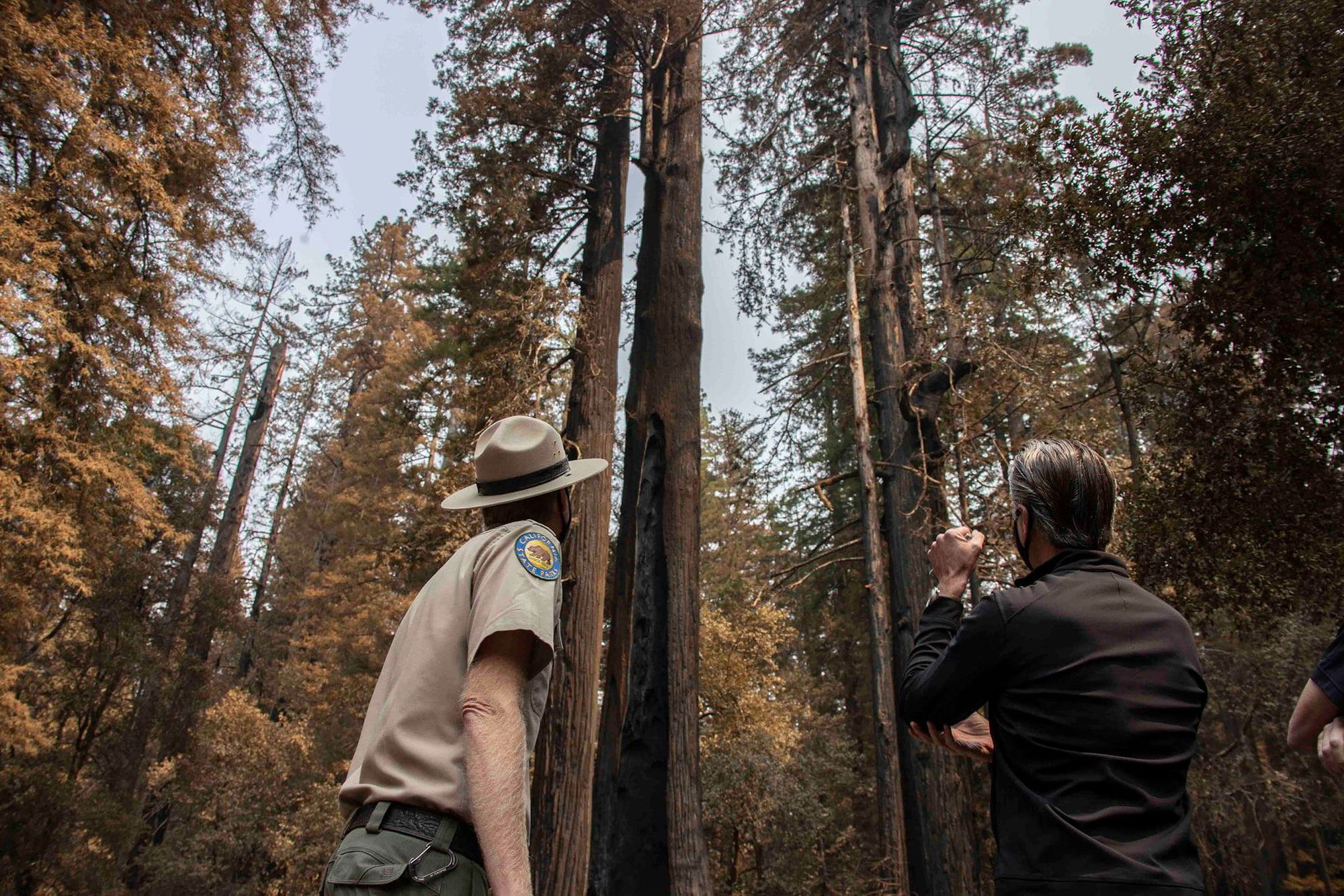 Governor Newsom Requests Major Disaster Declaration to Aid Wildfire Response