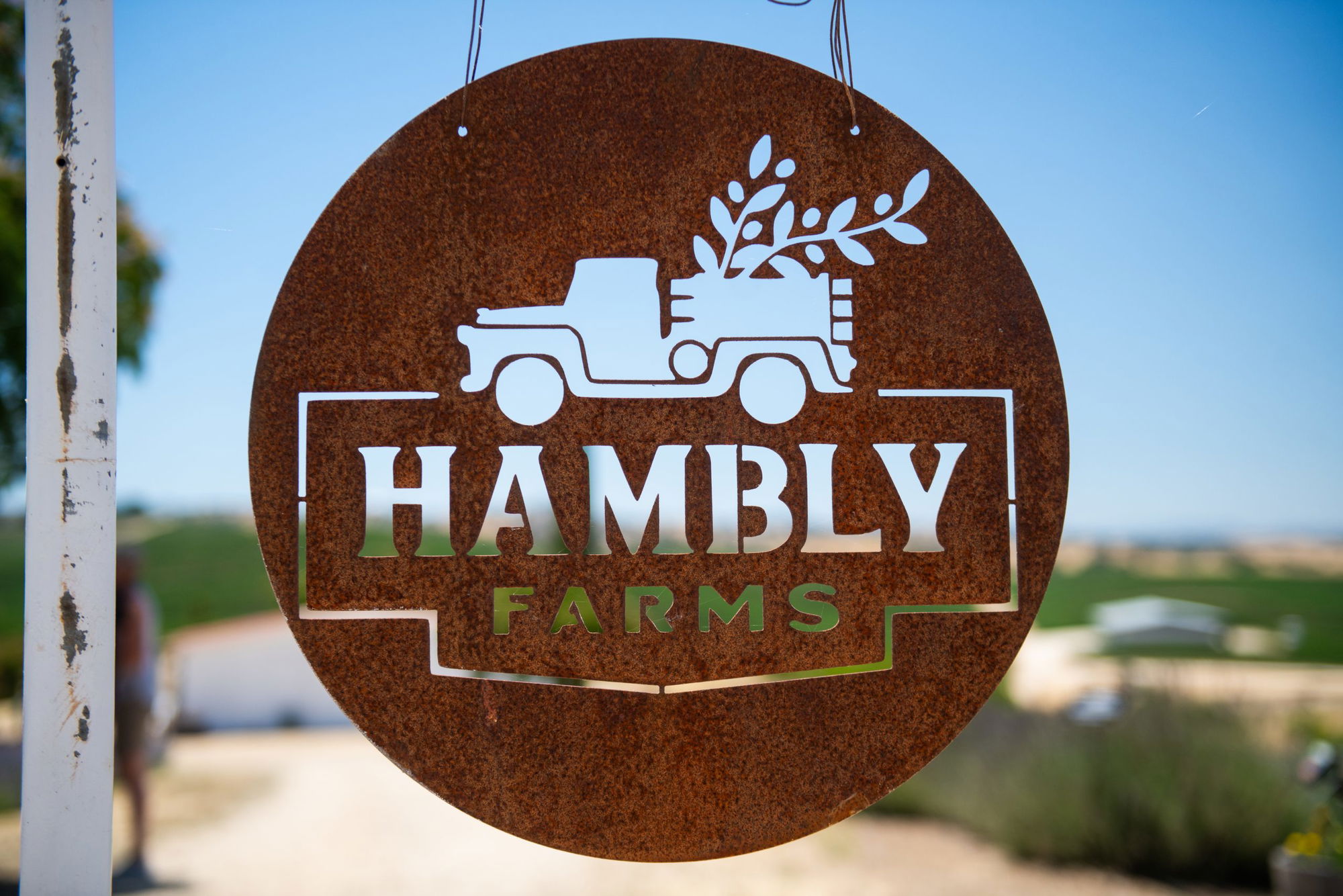 Hambly Farms wins gold for lavender essential oil distillation