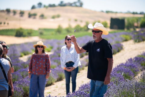 Hambly Farm reopens for&nbsp;summer&nbsp;season