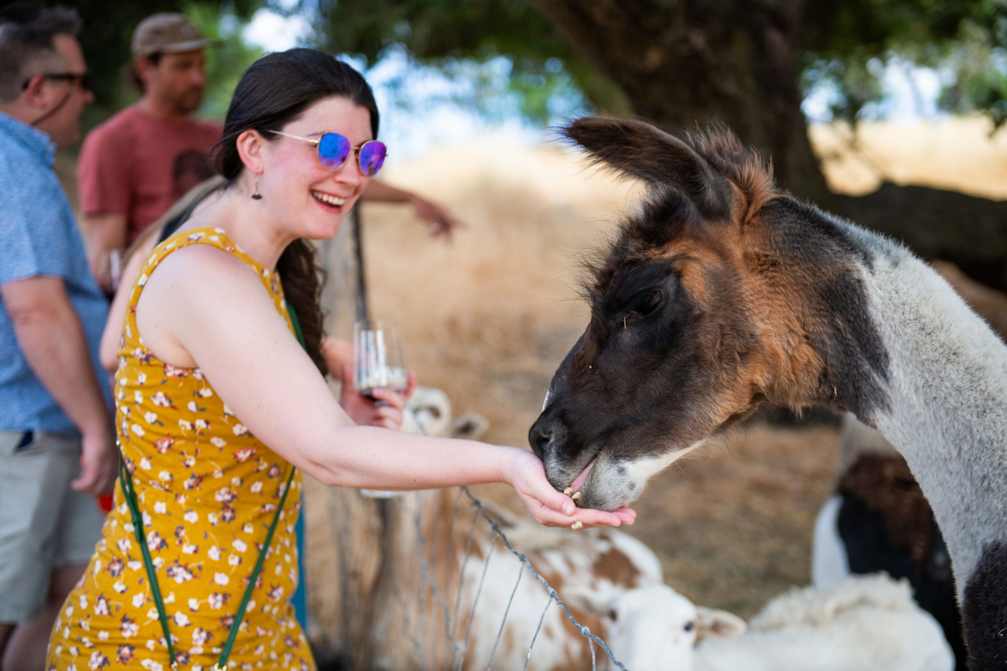 Community connects with local agriculture at FARMstead ED Open Farm Days