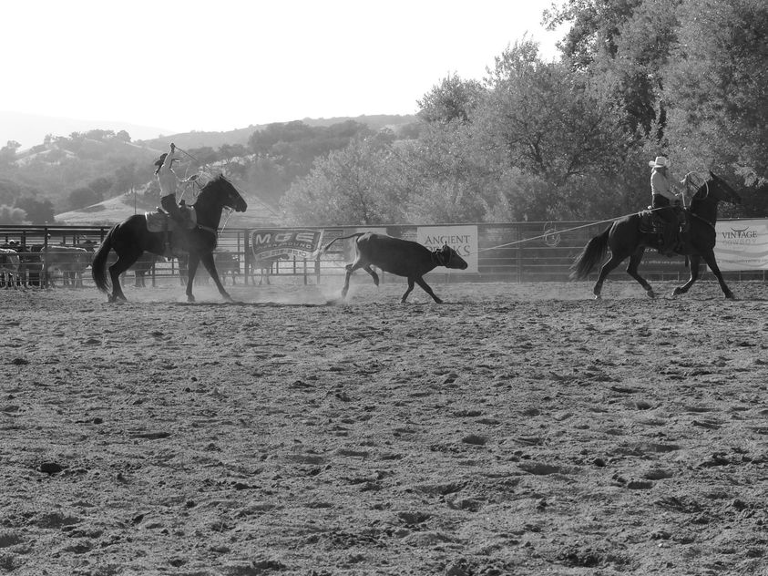 SLO County Cattlewomen Roping and Cattleman's Playday Returns