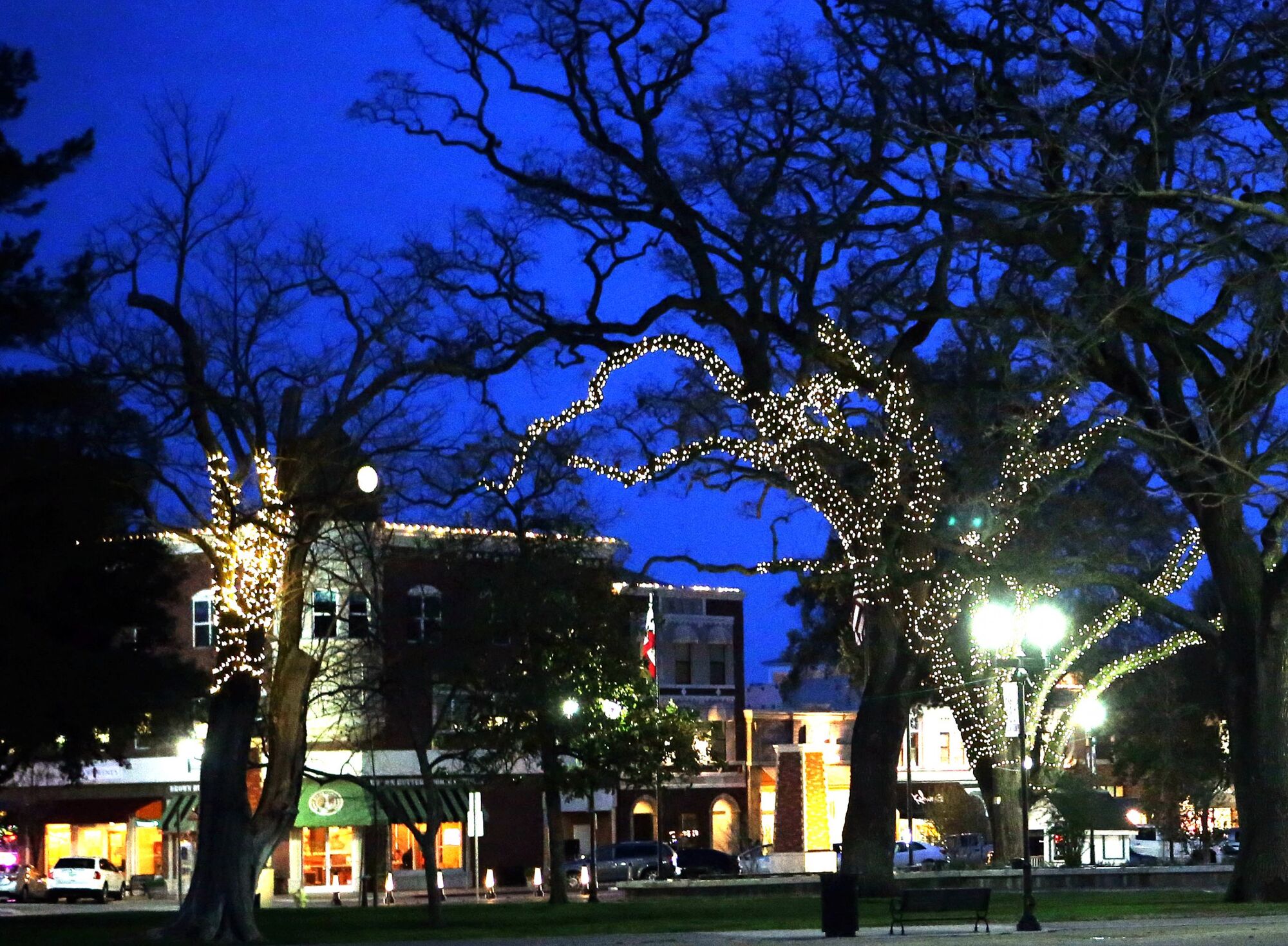 Lights of Hope Returns to Paso Robles City Park for 10th Anniversary