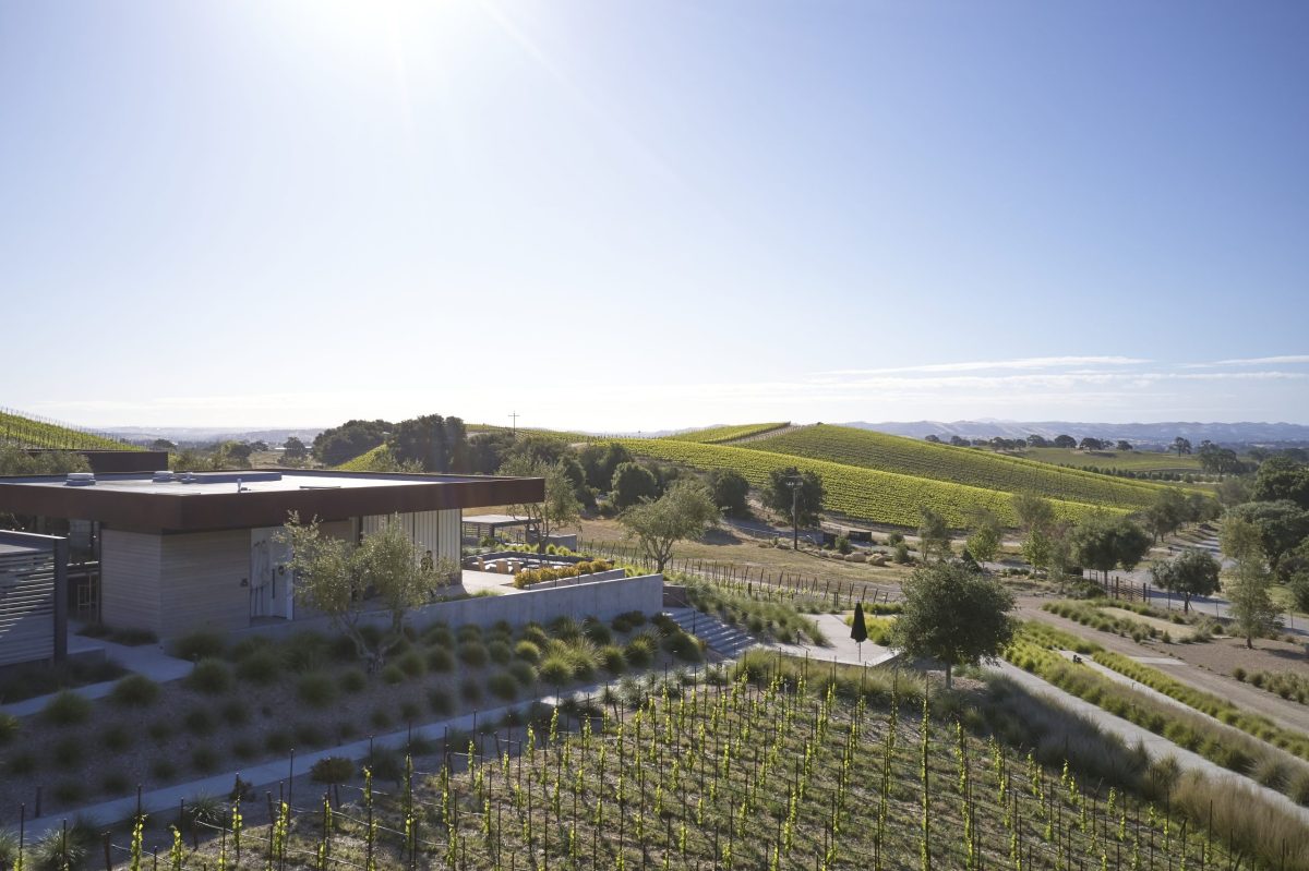 Anderson Road Wineries Collaborate on Beautification Project