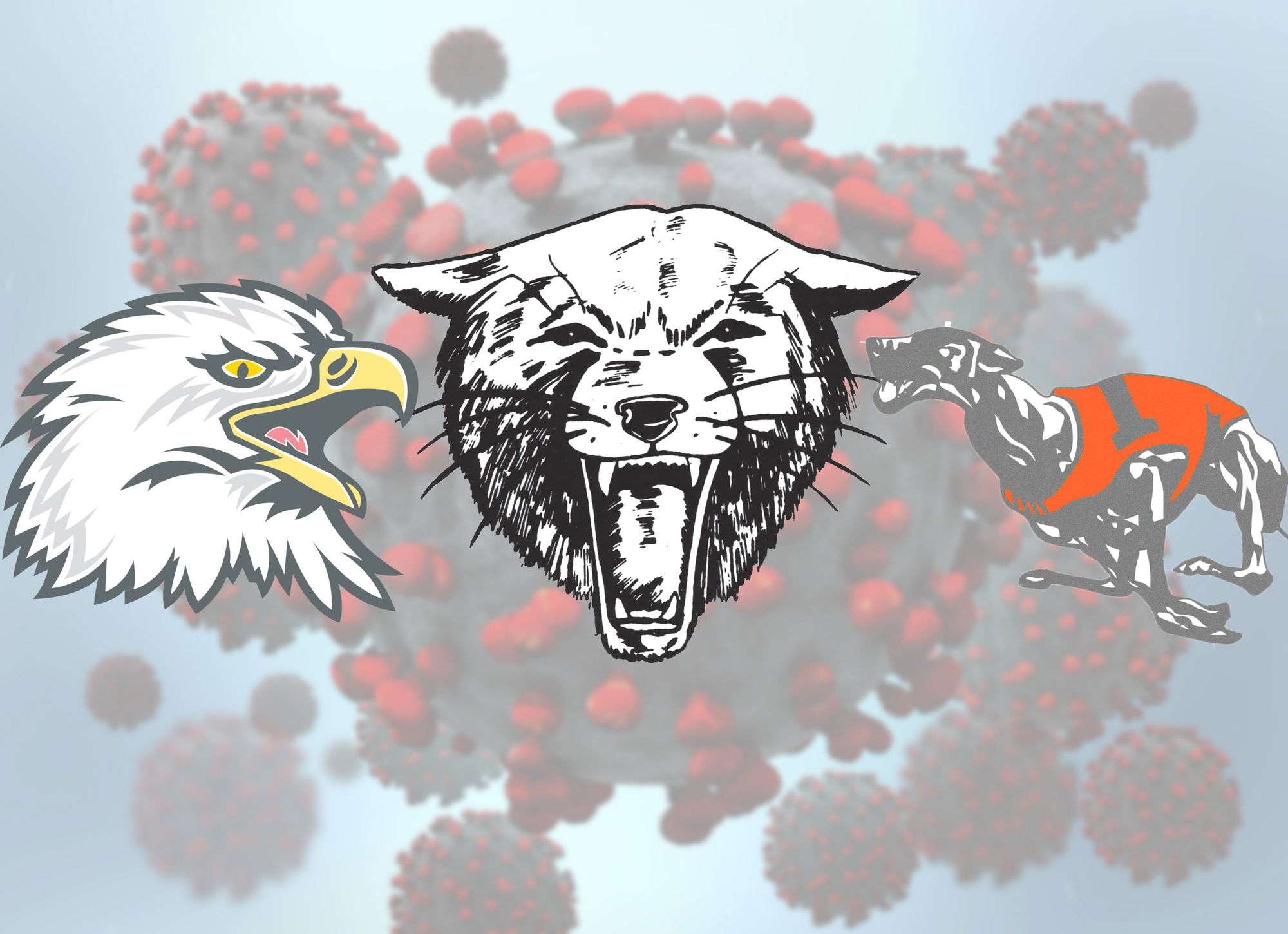 North County Athletic Programs Taking Precautions Against COVID-19