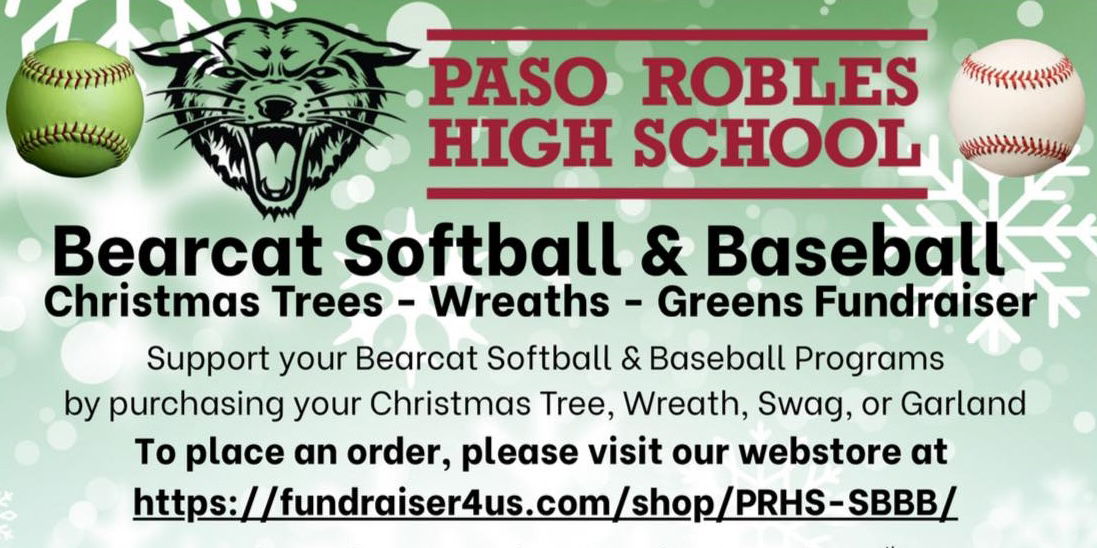 Bearcat baseball and softball Christmas tree fundraiser returns