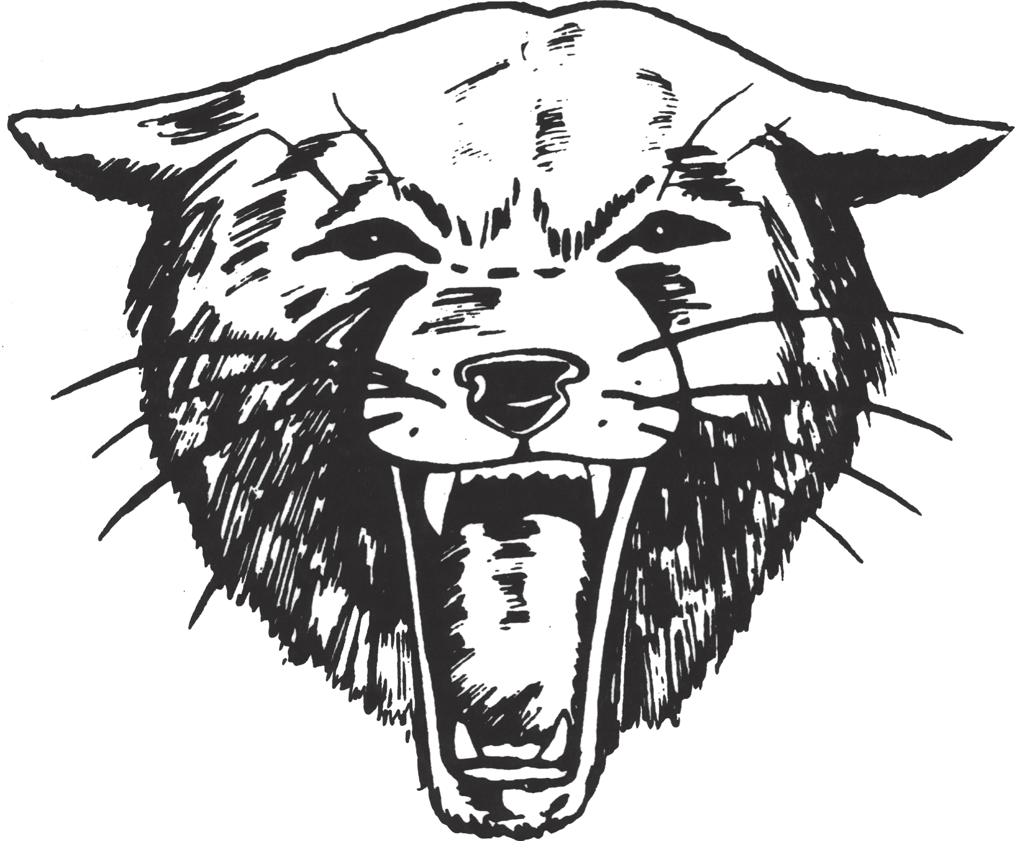 Paso Robles Football and Swim Coaches Let Go