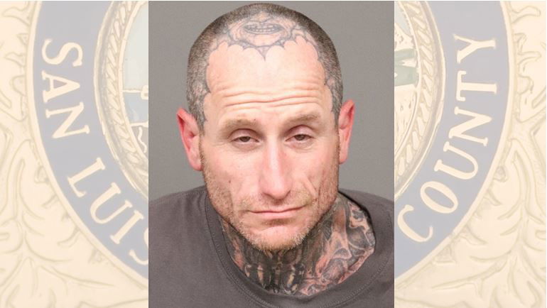 Traffic Stop Leads to Arrest for Possession of Controlled Substance