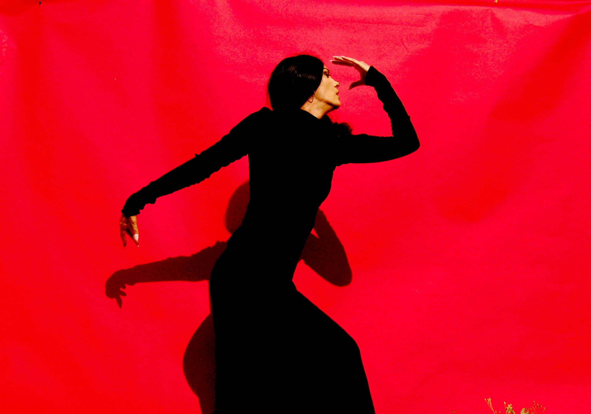 Flamenco en Vivo coming to Atascadero