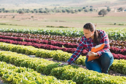 SLO County Crop Values Reach Over Billion for 2021
