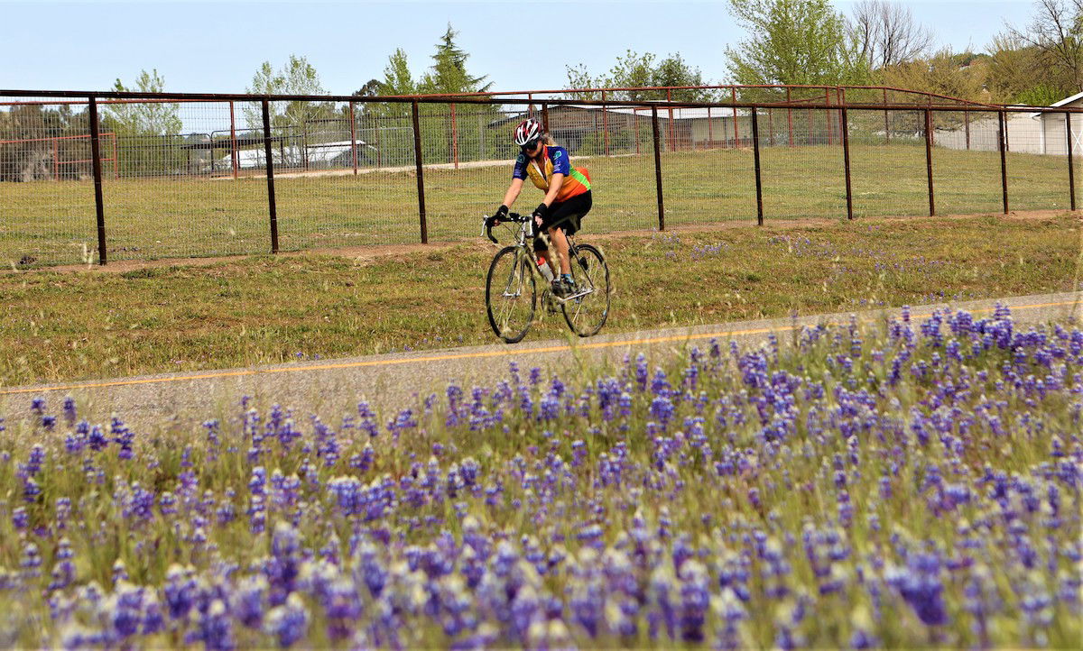 Sunshine Welcomes Riders to 15th Annual 'Tour of Paso'