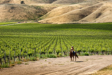 Taste of the Back Roads — a celebration of Paso's eastside AVAs