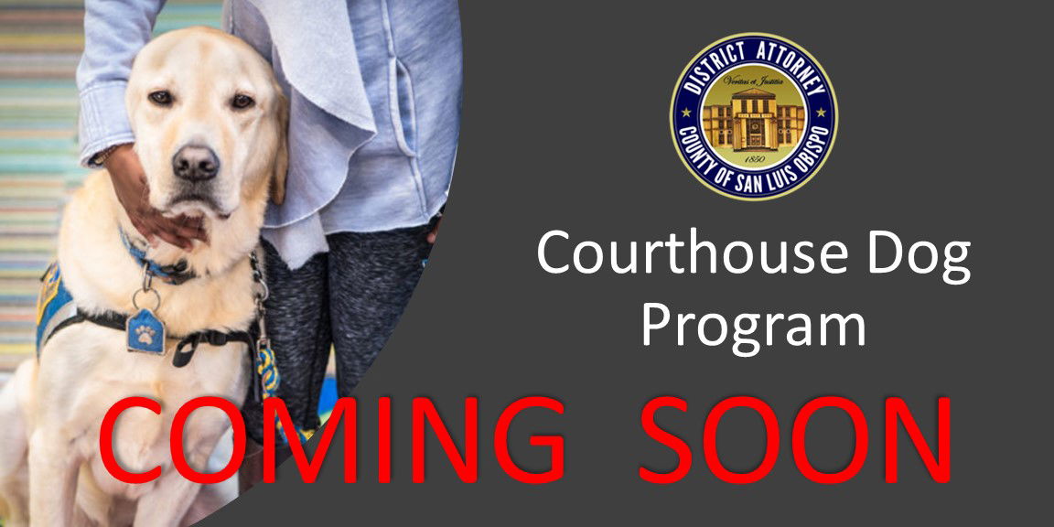 SLO County District Attorney’s Office is Adding a Courthouse Dog