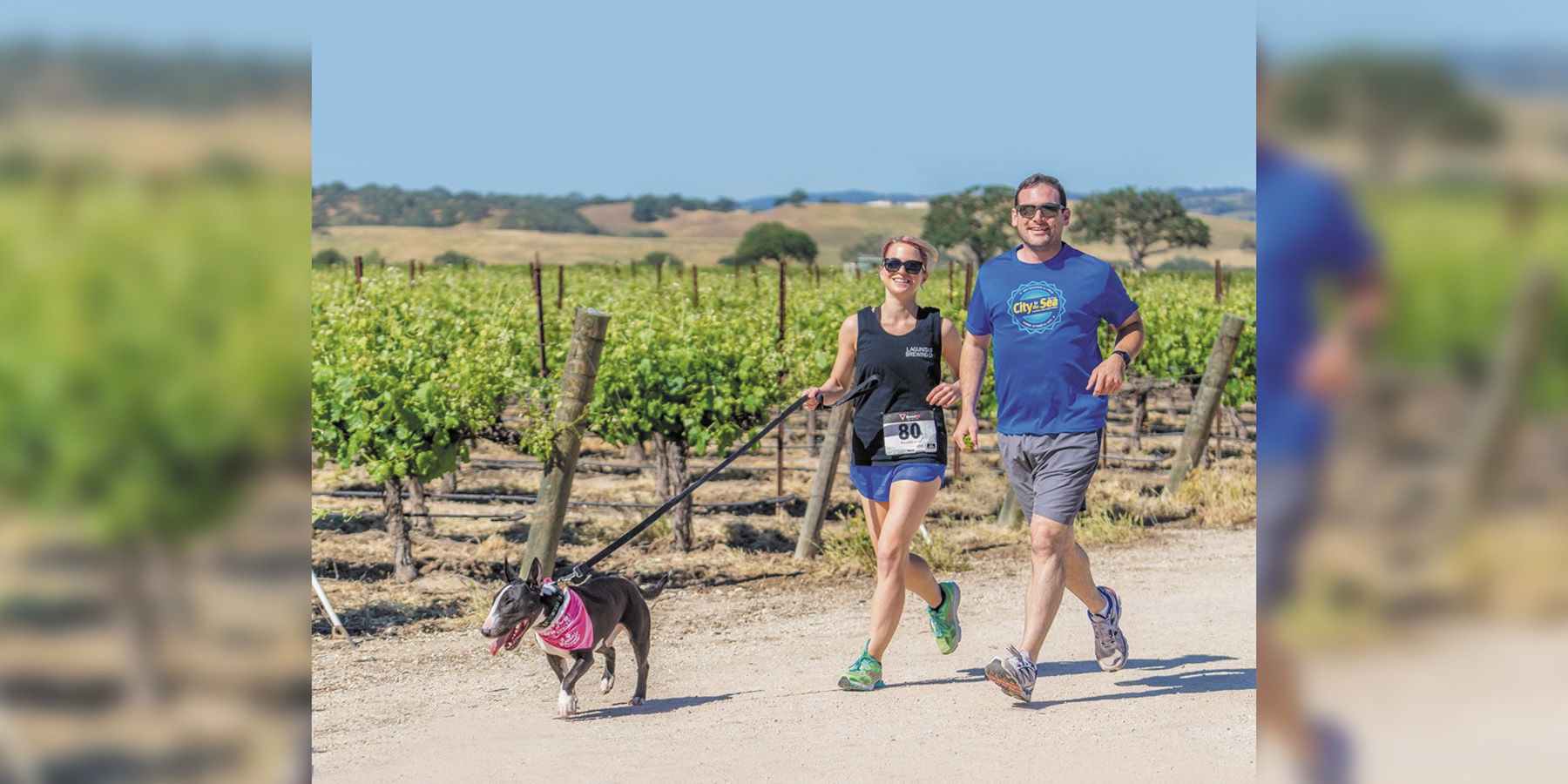 Dog Jog Finds New romping Grounds