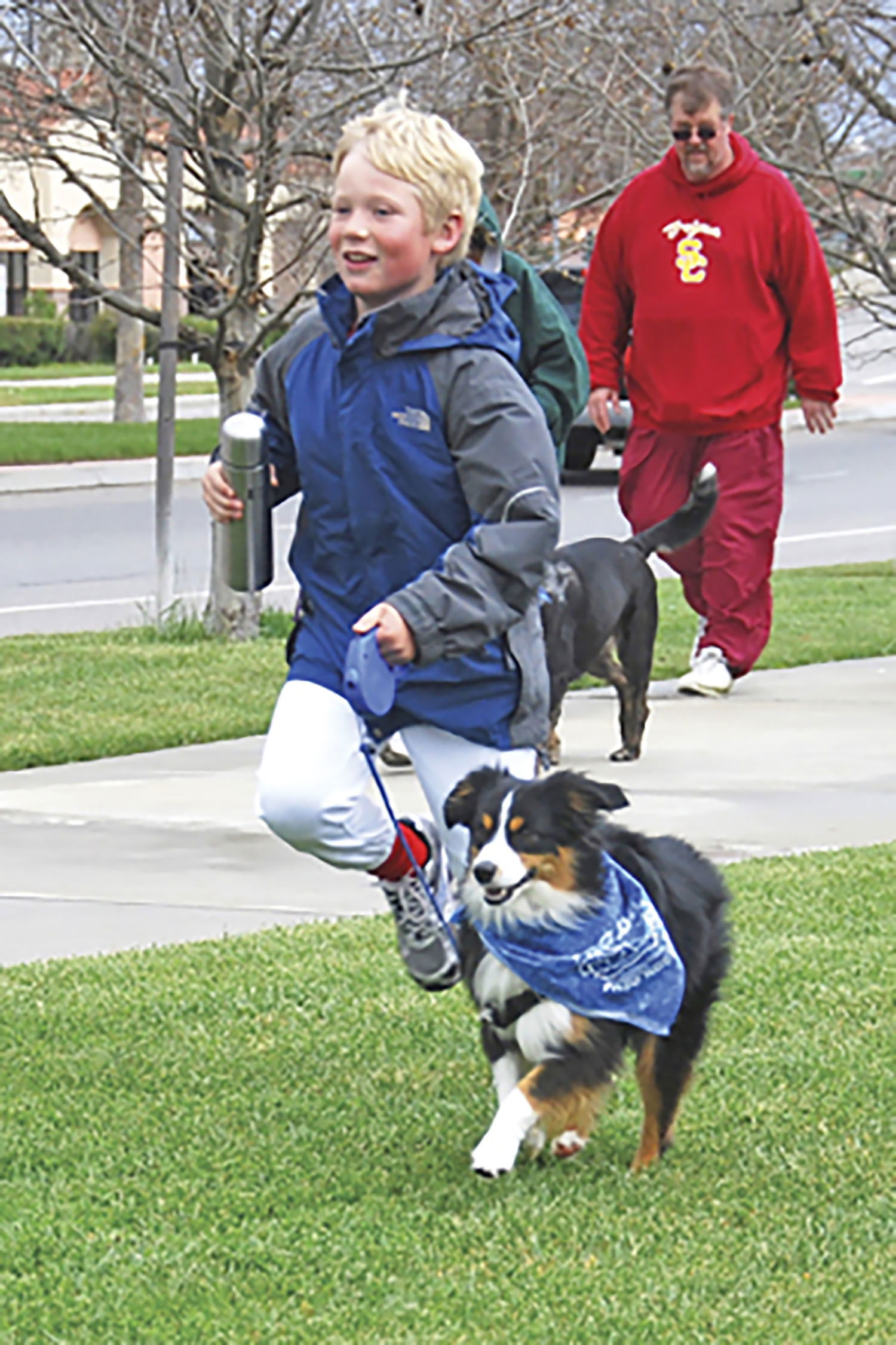 Dog jog