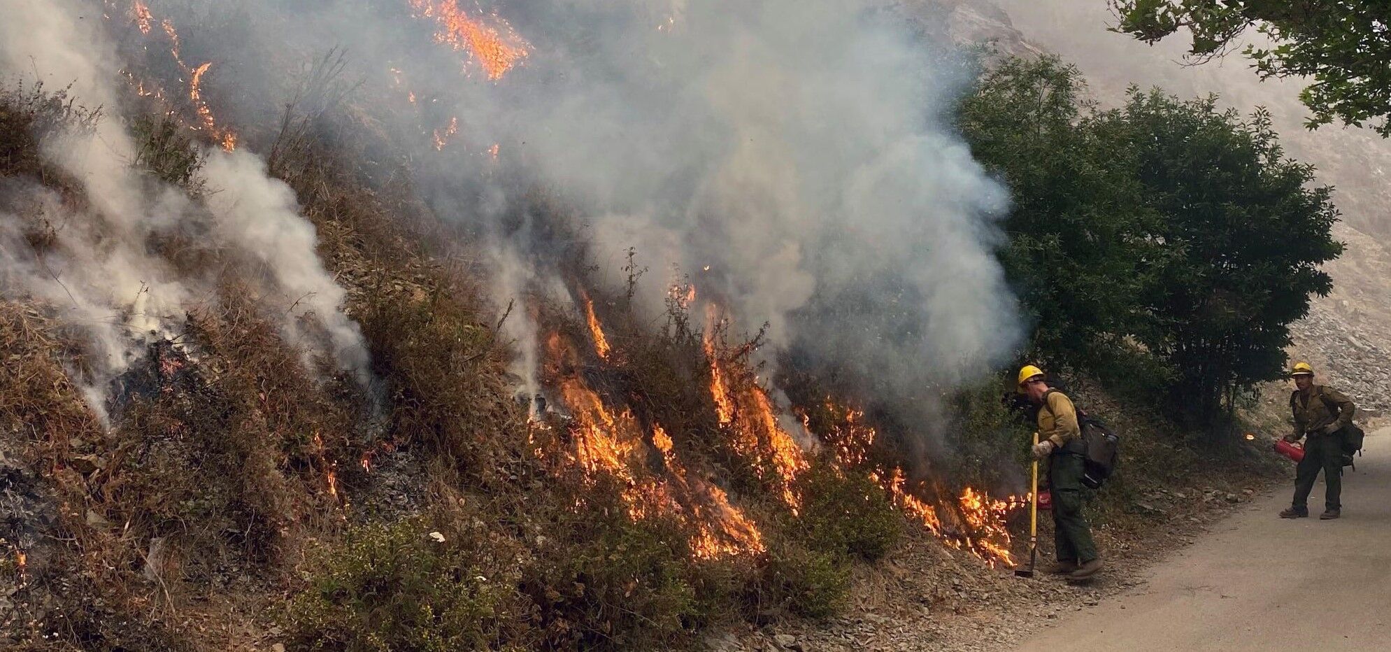 CAL Fire Statewide Fire Summary as of Sept. 12