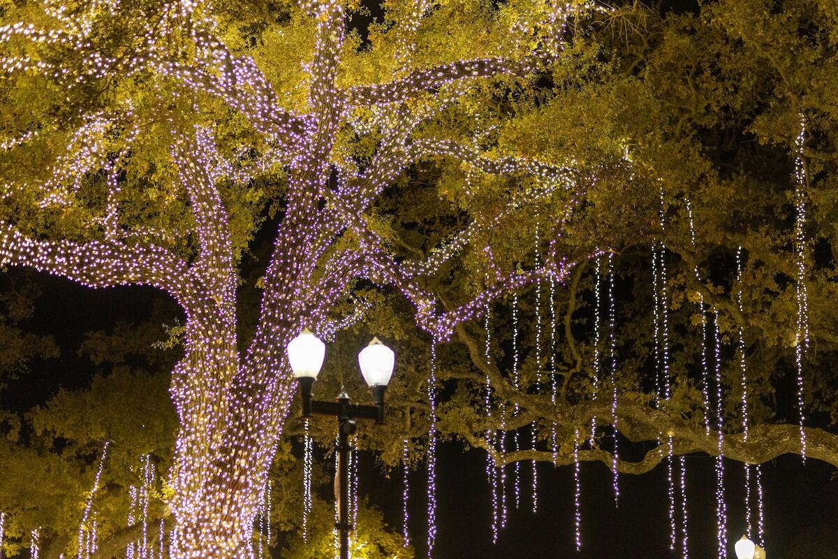 Today is the last day to enjoy the Downtown City Park Holiday Light display
