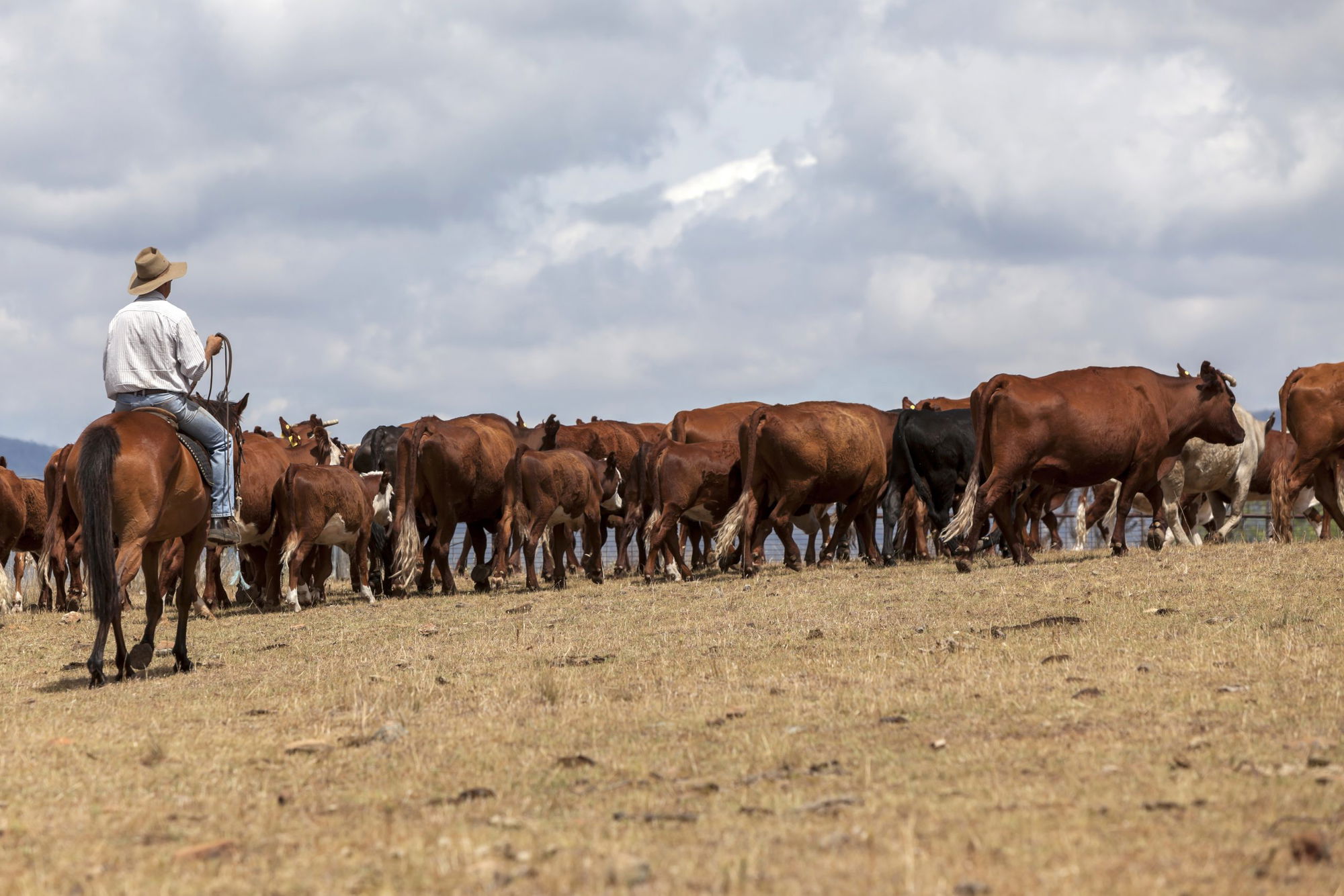 The Extinction of the American Farmer