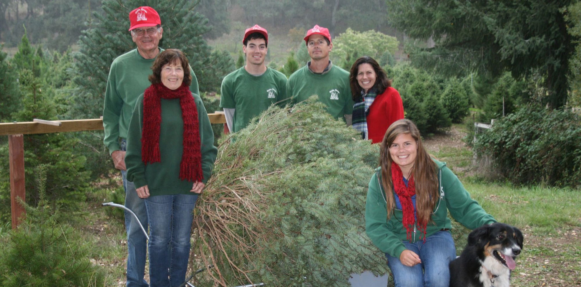 Hidden Springs Tree Farm Ready for Season