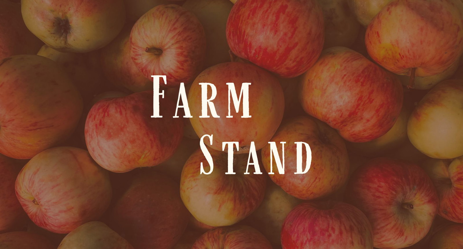 From Summer’s Bounty to Fall’s Harvest