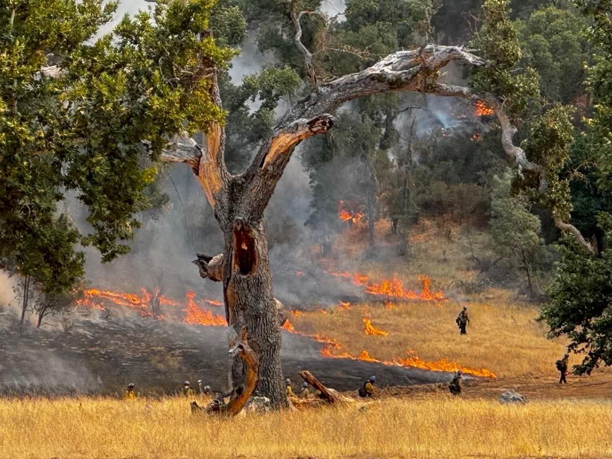 Gifford Fire expands to 122,065 acres; Containment holds at 33%