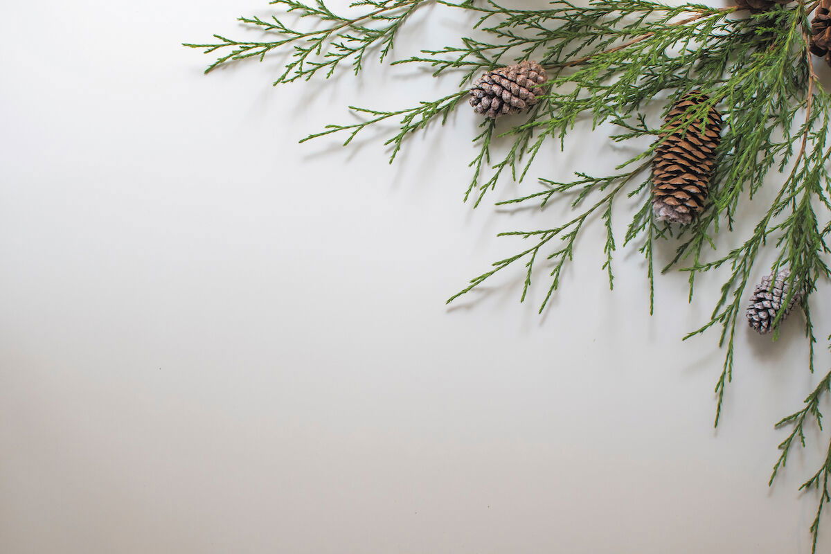 Happy Holidays from all of us at Paso Robles Magazine