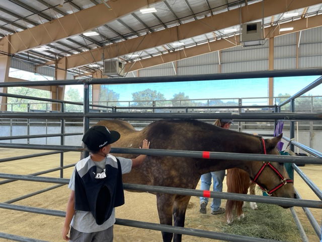 20th Annual Great AgVenture Educates Local Fourth Graders