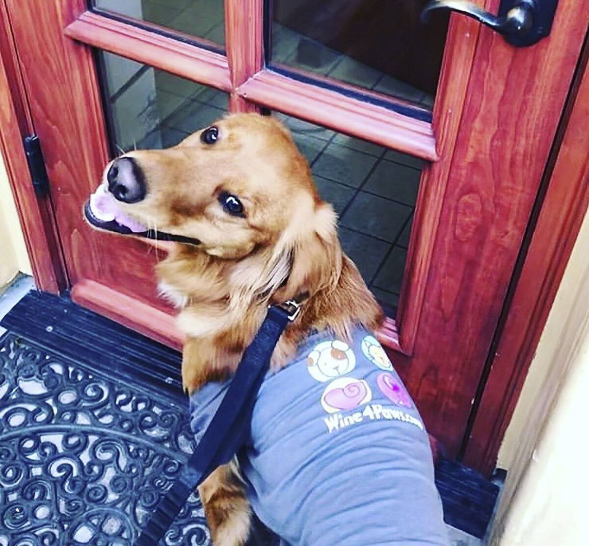 Wine 4 Paws Weekend Set for April 18-19