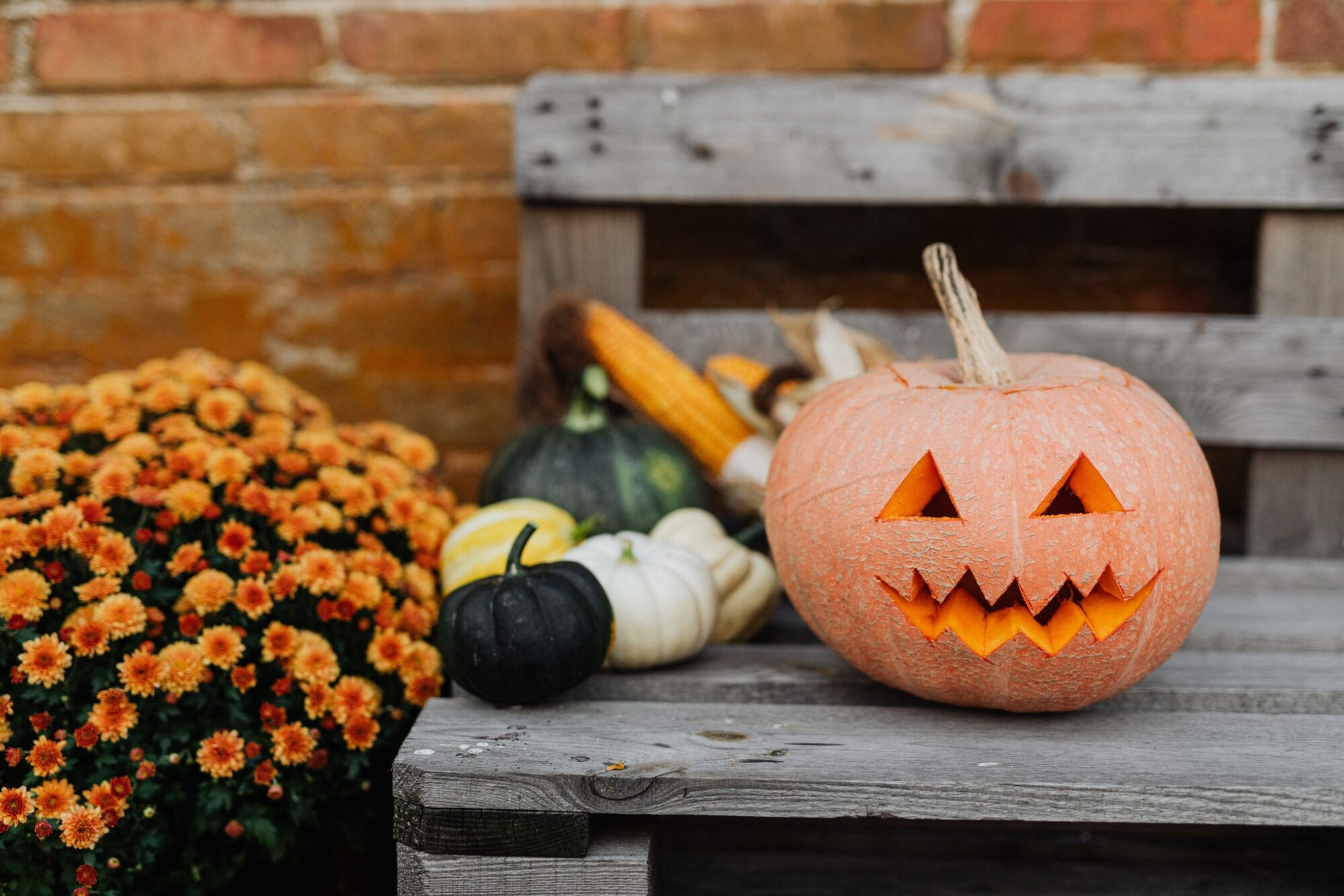 SLO County Health Officer Issues Guidance for Safer Halloween Activities During COVID-19