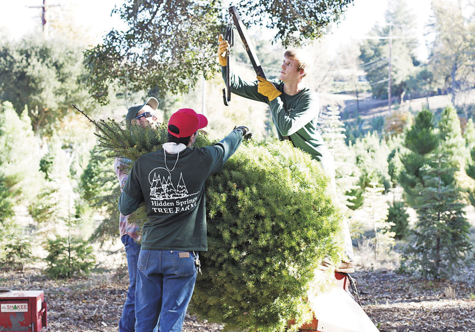 Keeping a Holiday Tradition Alive