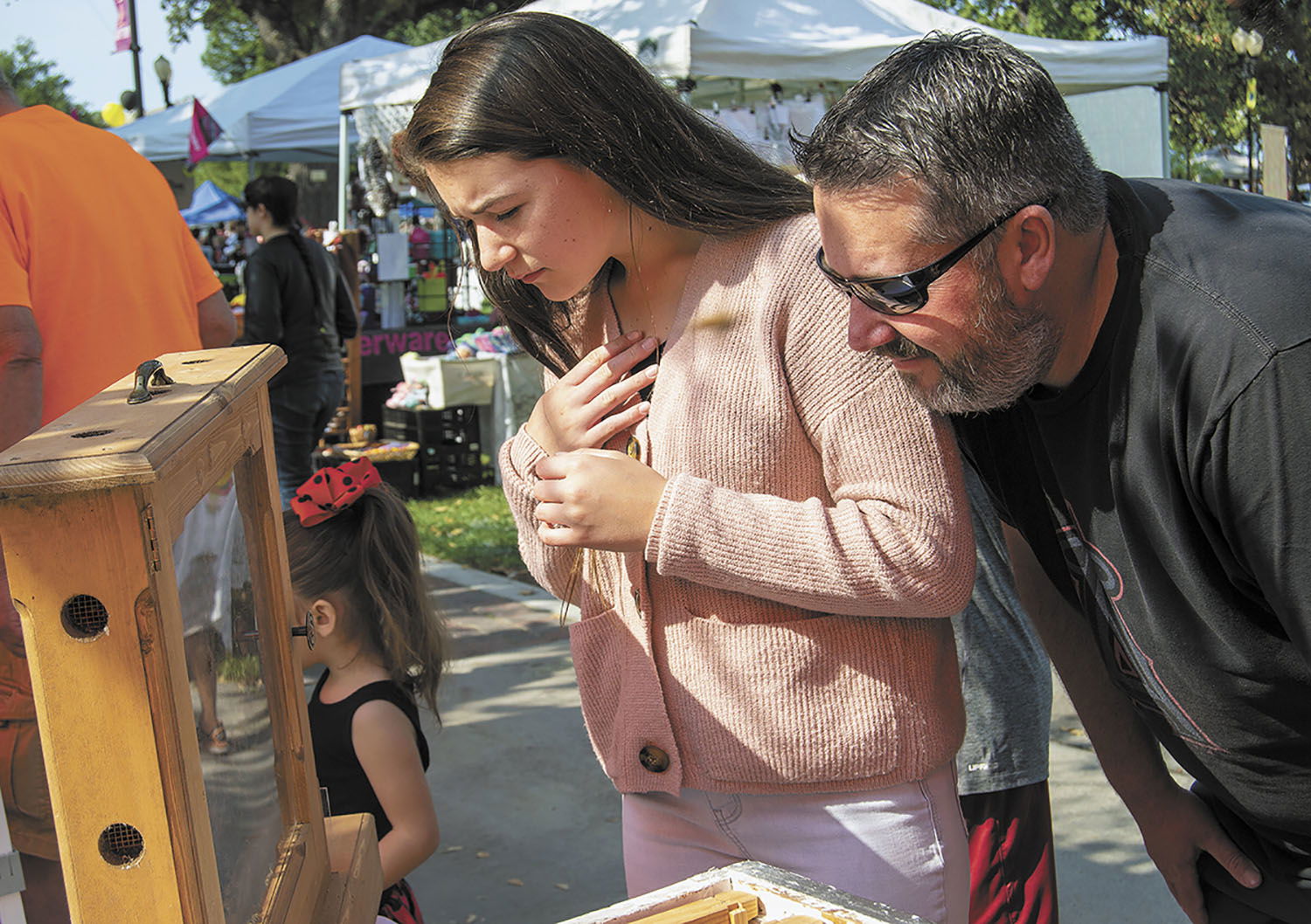 Paso Abuzz at Golden Oak Honey and Pumpkin Festival