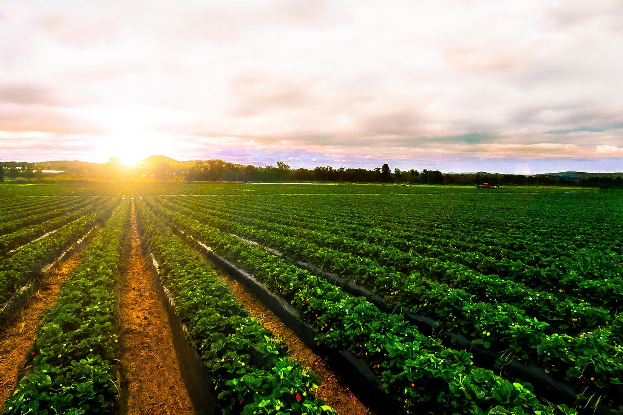 Housing for the Harvest Program Expands to San Luis Obispo County
