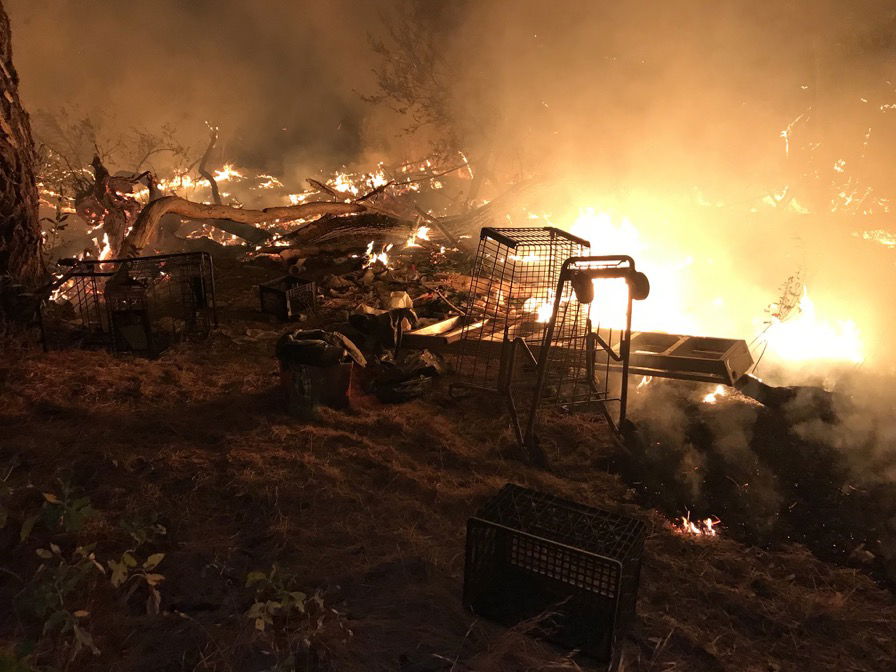 Paso Robles Salinas River Project, Fires and Homeless