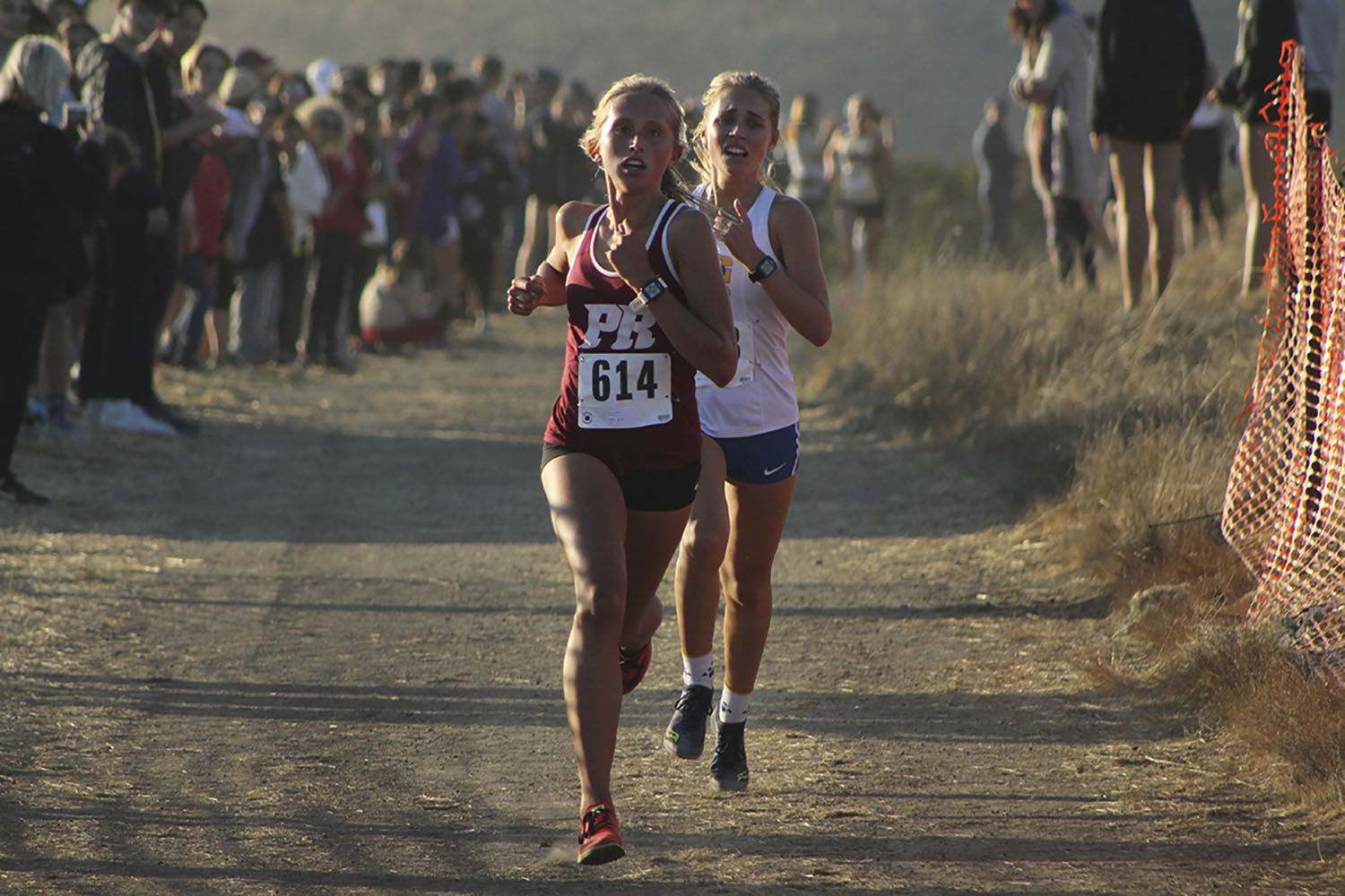 Bearcats and Hounds Cross Country Gearing up for CIF