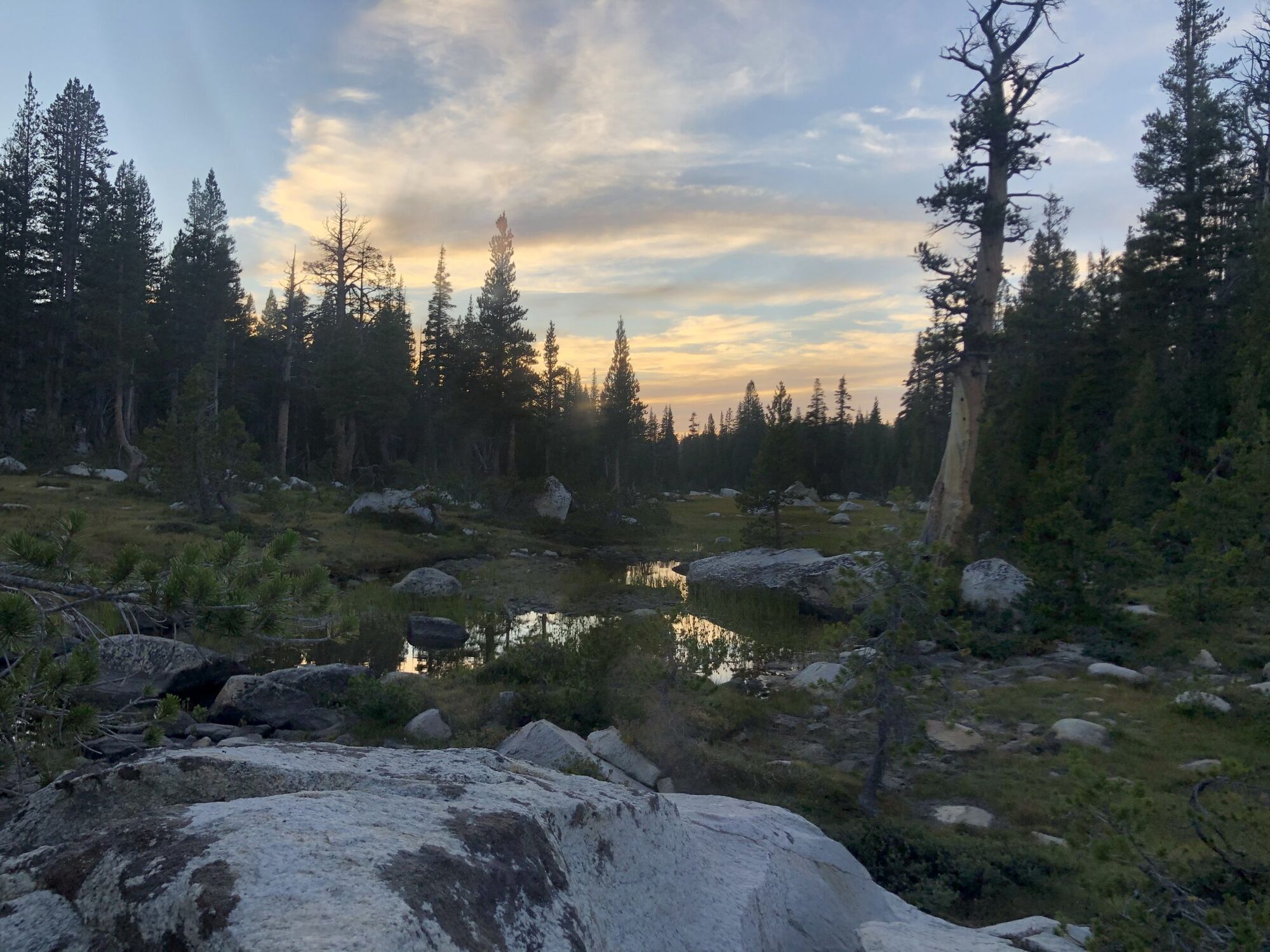 The Great Outdoors