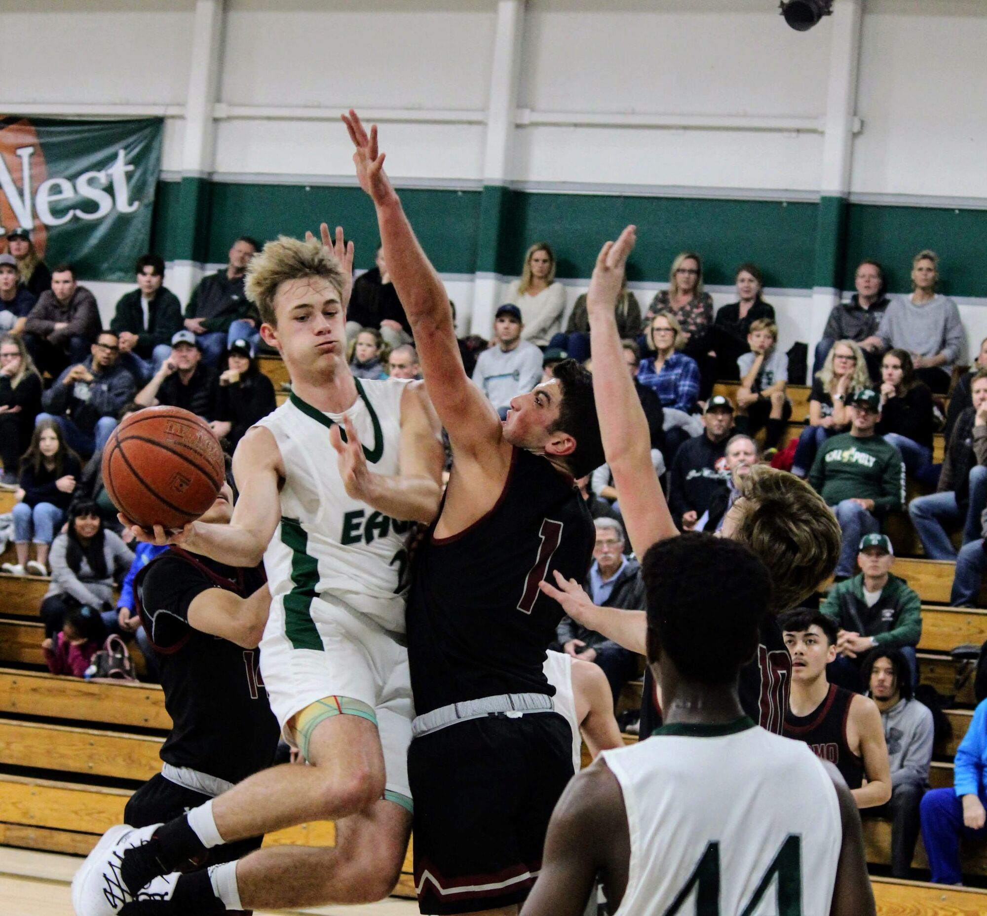 Xander Shaw: Boys Basketball Player Of The Year